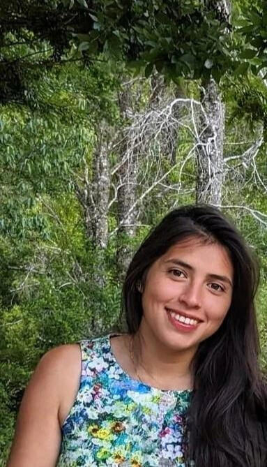 Psicoterapia online realizada por psicóloga Sue-Ann Burdiles